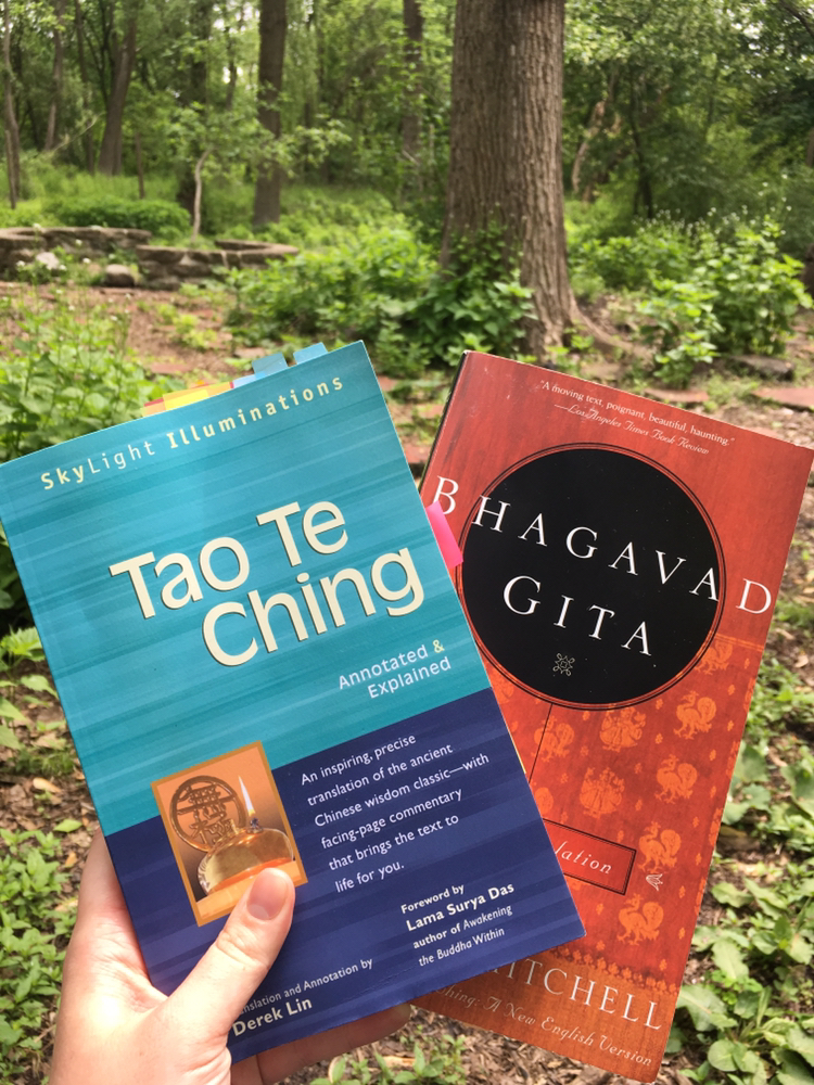 LsponWT- Journeying Through Wisdom: Bridging the Bhagavad Gita and the Tao Te Ching